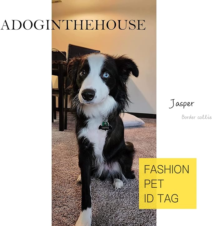 316 Surgical Grade Stainless Steel Personalized Dog & Cat ID Tags - Made with Three Thousand Love for Our Fur-Baby - Original Funny Shapes Heart, Engraved Name or Text for Pet Collar Accessories-PawvioPets