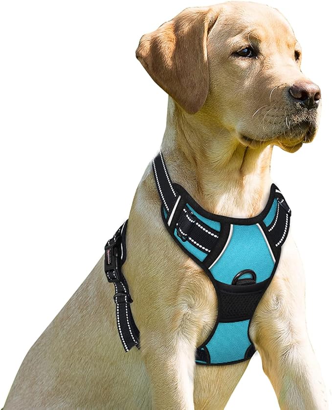 BARKBAY No Pull Dog Harness Front Clip Heavy Duty Reflective Easy Control Handle for Large Dog Walking(Blue,L)-PawvioPets
