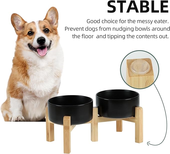 Ceramic Raised Double Bowls Set with Stand, 2 Heights Elevated, Food & Water Bowls for Small Breed Dogs, Weighted Dog Dishes, Pet Bowl(6.1'',28.7oz, Black)-PawvioPets