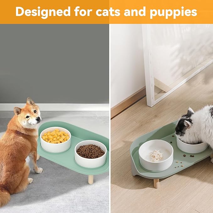 Elevated Dog Bowls Set, Ceramic Pet Food & Water Bowls with Non-Slip Stand, No Spill Design for Cats/Small Medium Dogs Green-PawvioPets