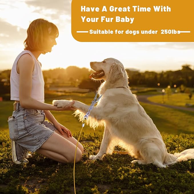 Dog Tie Out Cable - 10/15/20/25/30FT Heavy Duty for Large Dogs Up to 250LBS - Rosy Pink/Blue/Purple/Silver/Red/Green/Yellow-PawvioPets