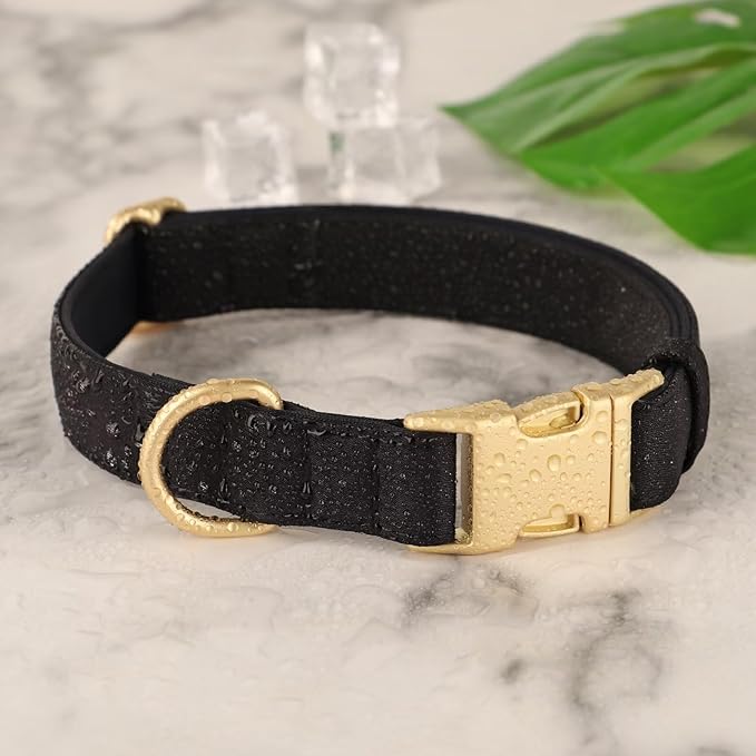 Didog Soft Padded Dog Collars for Small Dogs, Colorful and Durable Dog Collar with Quick Release Buckle, Light and Breathable for Daily Walking, Black, S-PawvioPets