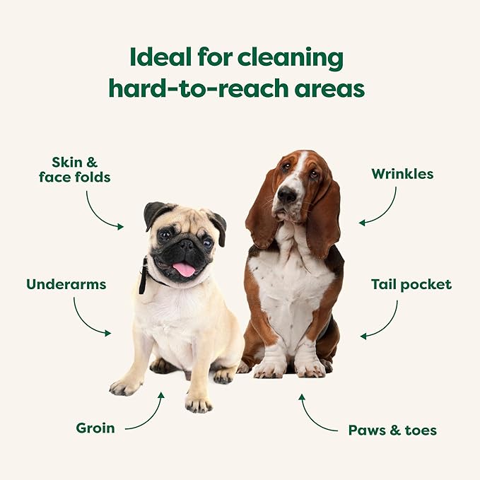 Earth Rated Wrinkle Wipes for Dogs, Perfect for Bulldogs and Pugs, to Cleanse Wrinkles and Folds, Wild Oat Scent, 60 Count-PawvioPets