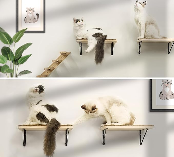 2PCS Cat Wall Shelves with Scratching Mat, 16.6x9.7 Inch Large Cat Wall Hammock Cats Furniture Shelf Window Perch Wall Mounted Beds for Household Pets Sleeping, Playing, Climbing-PawvioPets