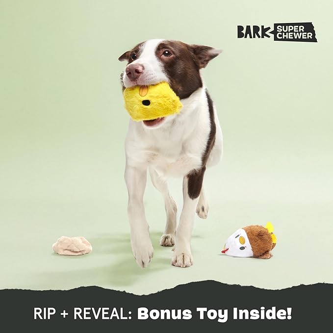 Barkbox Hatch Me If You Can Dog Toy for Medium to Large Aggressive Chewers Two-Layer Tearable Toy with Hidden Surprise Inside for Interactive Playtime-PawvioPets