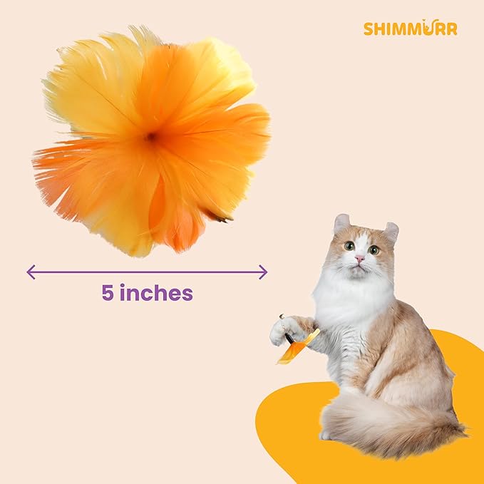 Cat Feather Wand Toy - 38" Retractable Cat Wand Toy with Orange Feather Flower Teaser Refill for Indoor Cats and Interactive Play-PawvioPets