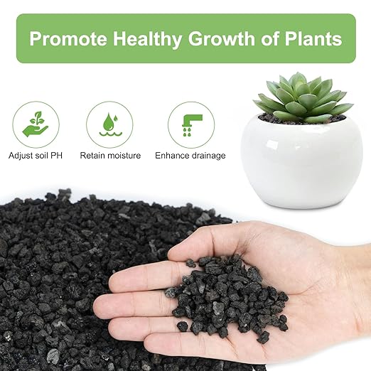 2.5lbs Lava Rocks for Plants, 1/5 Inch Black Gravel for Succulent, Cactus, Bonsai Tree, Pure Volcanic Rocks, Top-Dressing, Good Drainage-PawvioPets