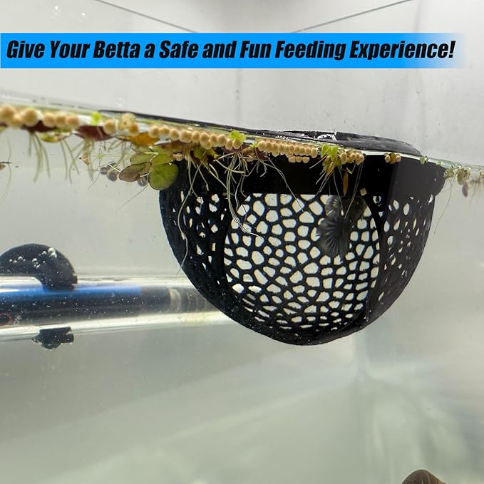 Aquarium Floating Betta Fish Skins, Betta or Shrimp Feeder, Cave and Hammock, Small Fish Feeding Rings, Aquarium Hiding Feeding Decorative Accessories (Translucent Color)-PawvioPets