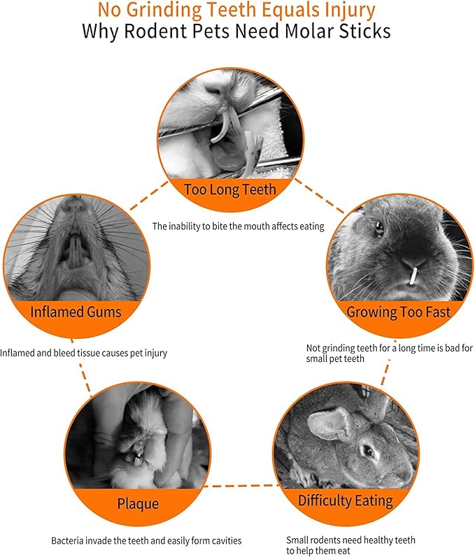 600g Apple Sticks Molar Wood Treats, Rabbit Toys Chinchilla Guinea Pig Bunny Toys Wood Chews Sticks for Teeth Rabbit Food Guinea Pig Hamster Gerbil Chews Small Animals Snacks(150 Pcs)-PawvioPets