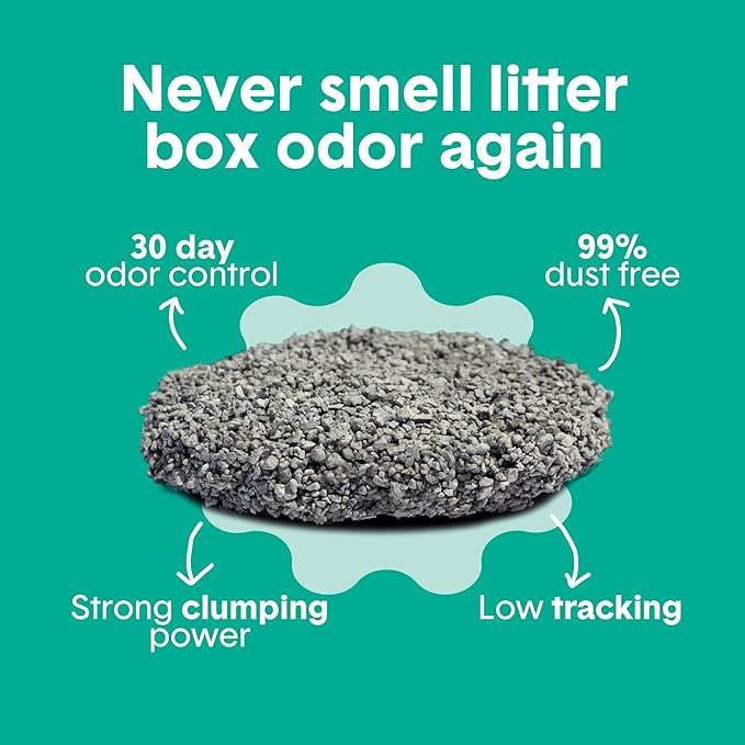 Boxiecat Gently Scented Premium Clumping Clay Cat Litter, 28-Pounds-PawvioPets