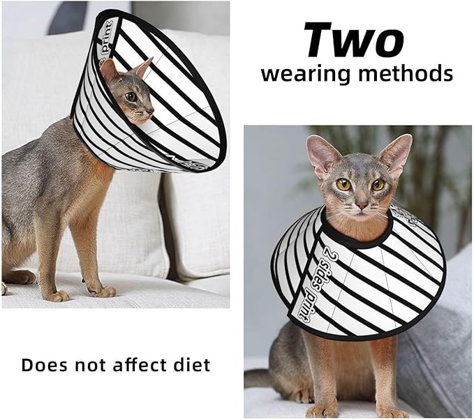Custom Cat Cone Collar Soft Lick Prevention Pet Recovery Collar for Spay Safety Elizabethan Collar-PawvioPets