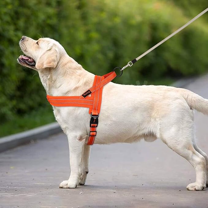 Didog No Pull Dog Harness with Soft Mesh Padded,Reflective & Quick Fit Light Weight Dog Strap Vest Harness,Easy for Walking Training (XS:Chest 15-18", Orange)-PawvioPets
