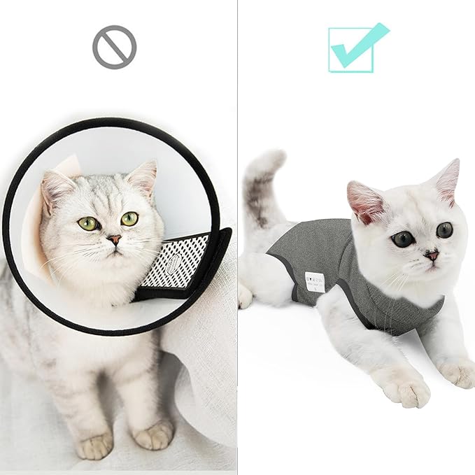 DOTON Cat Recovery Suit for Male and Female Surgical Post Surgery Soft Cone Onesie Shirt Clothes Neuter Licking Protective Diapers Outfit Cover Kitten Spay Collar(S, Grey)-PawvioPets