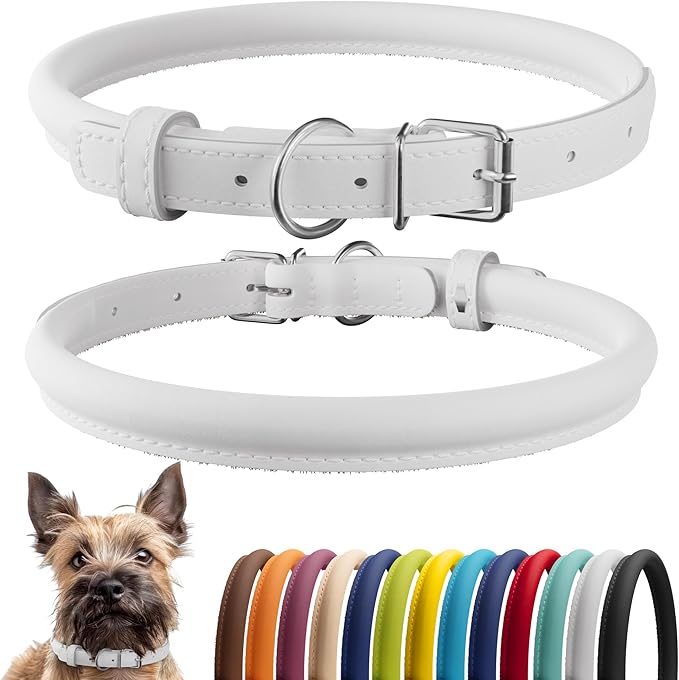 CollarDirect Rolled Leather Dog Collar, Soft Padded Round Puppy Collar, Handmade Genuine Leather Collar Dog Small Large Cat Collars 13 Colors (6-7 Inch, White Smooth)-PawvioPets