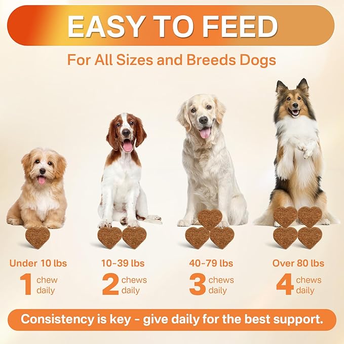 5-in-1 Dog Flea and Tick Treatment Chewable, Natural Flea and Tick Prevention for Dogs Chewable - Flea & Tick | Hip & Joint | Skin & Coat | Immunity Support | Digestive for All Breeds & Sizes-PawvioPets