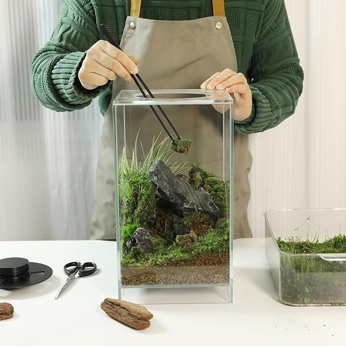 Desktop Glass Plant Terrarium with Grow Light(L7.8 W7.8 H14), for Succulent, Moss, Miniature Gardening Landscape, Betta Fish Tank, Indoor Plant Growth, Office Home Decoration (TimeControlled)-PawvioPets