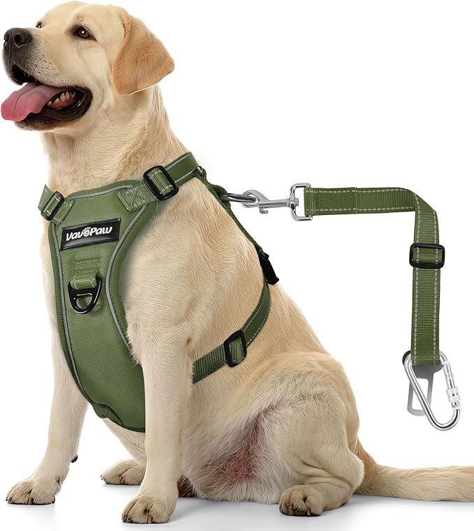 Dog Seat Belt Harness for Car, Dog Car Harness Adjustable Mesh Breathable & Dogs Seatbelt Safety Tether with Elastic Bungee for Small Medium Large Pets(Army Green, L)-PawvioPets