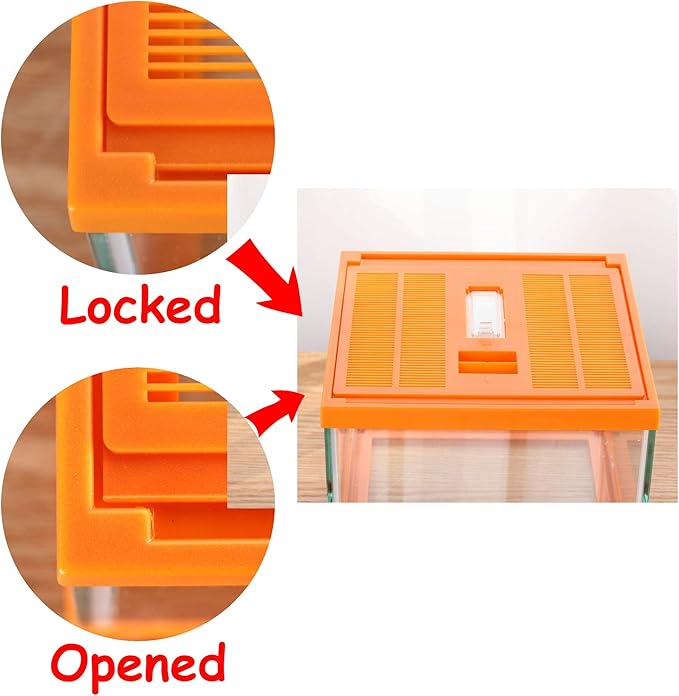 crapelles Reptile Terrarium kit Color Orange Spider Container Tarantula Box cage Gecko Habitat Insect Enclosure pet Tank Frog Carrier Tortoise Snail Container Hermit Crab House Cricket breeding-PawvioPets