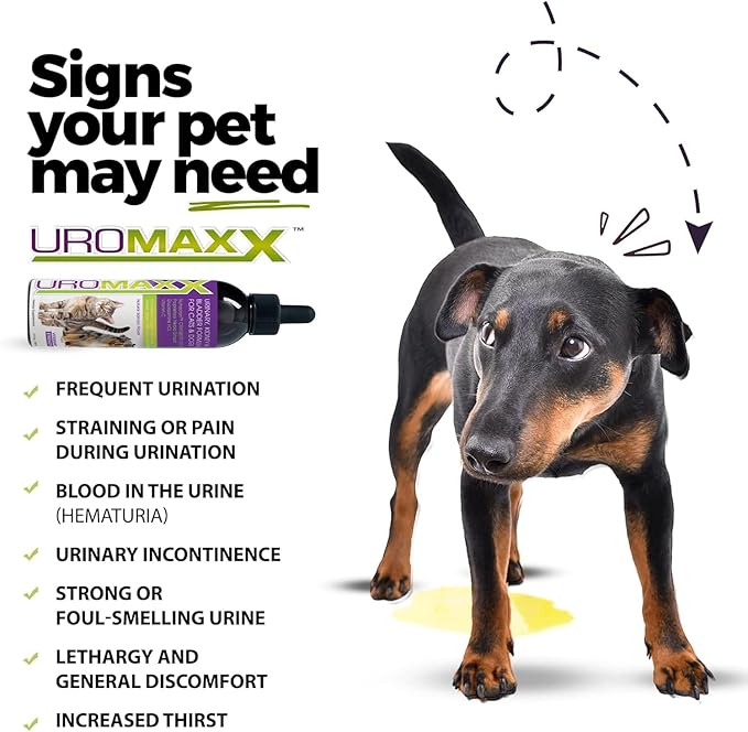 Cat & Dog Urinary Tract Treatment, Bladder & Kidney Support for Dogs and Cats, Powerful Yet Gentle Pet Care, with Liquid Cranberry & Glucosamine, Salmon Flavor, 6 oz Bottle, 2 Pack-PawvioPets