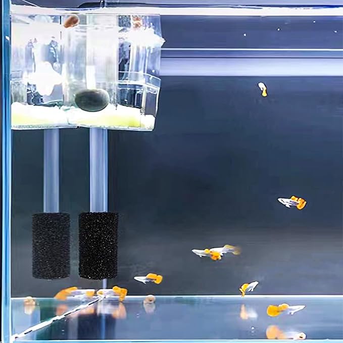 6X Pre-Filter Sponge for Aquarium Shrimp Fry Fish Tank Filter Pump Prefilter Sponge Replacement Foam Cover 2.4 X 1.4 Inch with 0.4" Hole Diameter-PawvioPets