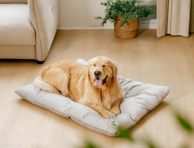 FUNNY FUZZY Washable Dog Bed,Reversible Plush Dog Crate Mat, Soft Fluffy Kennel Pad,Pet Sleeping Mattress for Large,Jumbo,Medium Sized Dogs Breeds,Indoor Cats,41.7" × 28.3", Light Grey-PawvioPets