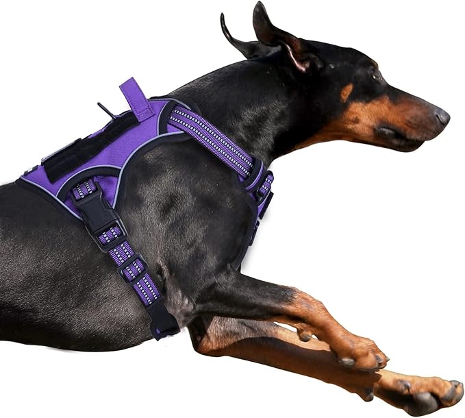 BUMBIN Tactical Dog Harness for Large Dogs No Pull, Famous TIK Tok No Pull Puppy Harness, Fit Smart Reflective Pet Walking Harness for Training, Adjustable Dog Vest Harness with Handle Purple L-PawvioPets