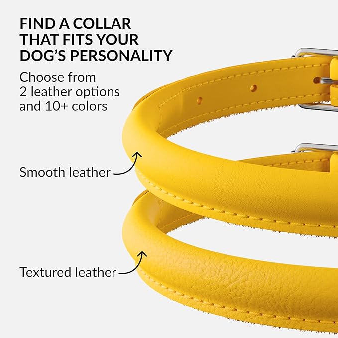 CollarDirect Rolled Leather Dog Collar, Soft Padded Round Puppy Collar, Handmade Genuine Leather Collar Dog Small Large Cat Collars 13 Colors (18-22 Inch, Yellow Smooth)-PawvioPets