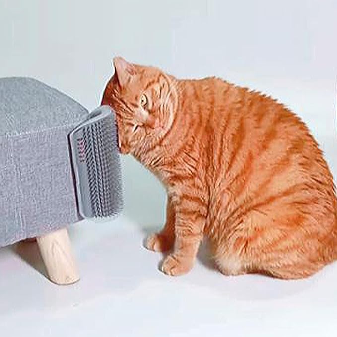 Extended (6.1") 2 Pack Self Grooming Cat Brush - Wall Corner Scratcher with Massage Combs for Long and Short Fur Cats, Kittens (Grey)-PawvioPets