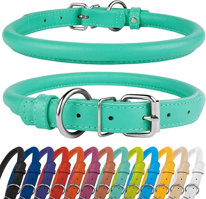 CollarDirect Rolled Leather Dog Collar, Soft Padded Round Puppy Collar, Handmade Genuine Leather Collar Dog Small Large Cat Collars 13 Colors (8-11 Inch, Mint Green Textured)-PawvioPets