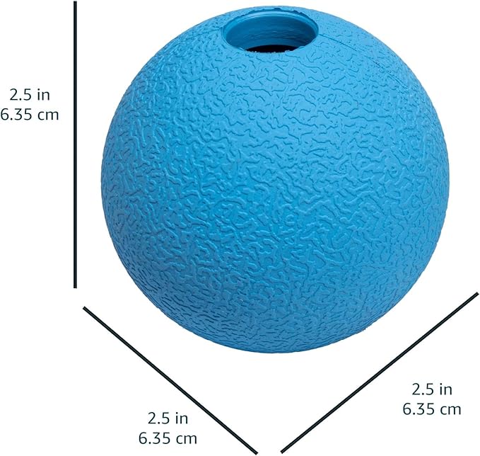 Amazon Basics Dog Toys, Interactive Fetch Rubber Balls, (Pack of 10), 2.5 inch, Multi-Color Blue/Orange-PawvioPets