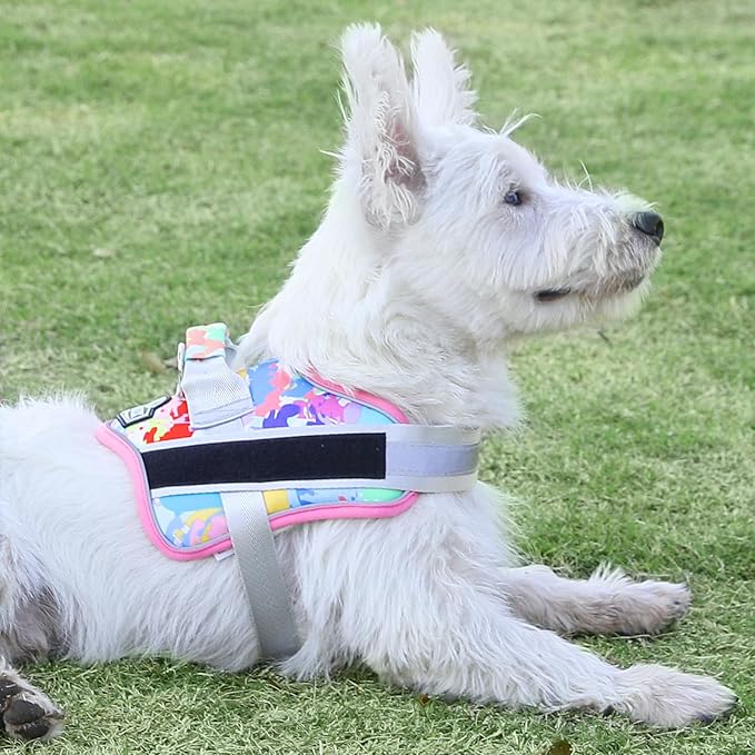 Bolux Dog Harness, No-Pull Reflective Dog Vest, Breathable Adjustable Pet Harness with Handle for Outdoor Walking - No More Pulling, Tugging or Choking (Medium (Pack of 1), OilPainting)-PawvioPets