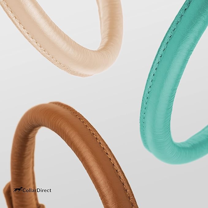 CollarDirect Rolled Leather Dog Collar, Soft Padded Round Puppy Collar, Handmade Genuine Leather Collar Dog Small Large Cat Collars 13 Colors (13-16 Inch, Mint Green Textured)-PawvioPets
