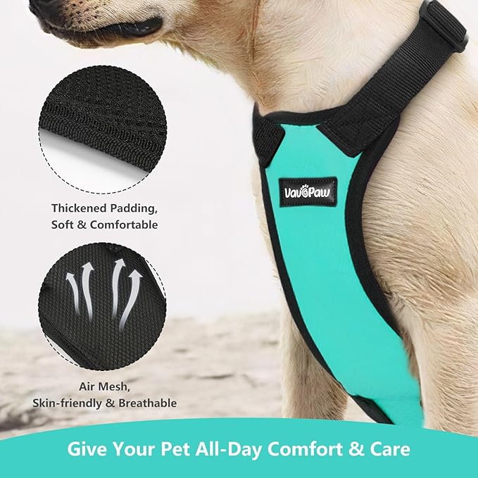 Dog Seat Belt, Safety Vest Dog Car Harness with Adjustable Buckle Dog Seat Belt for Vehicle Nylon Pet Safety Seat Belts Heavy Duty(XXL, Blue)-PawvioPets