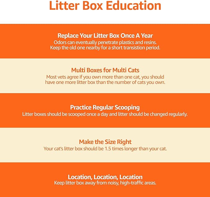 Amazon Basics Large Cat Litter Box with High Sides, Top Entry, Includes Scoop, 20.5 x 14.75 x 14.38 inches, Grey-PawvioPets