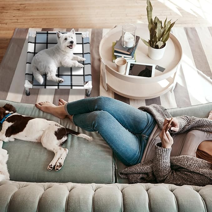 Elevated Outdoor Raised Dog Bed Outdoor Dogs Bed Lifted Pet Bed Dog Cot for Pet Taste Life, Start with A Pet Bed 20'' x 20'' x 6.5''-PawvioPets