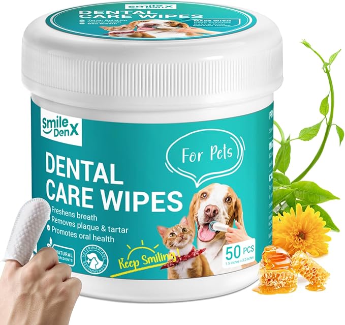 Dog Dental Care Finger Wipes - Teeth Cleaning Finger Wipes for Dog & Cats - Tooth Brushing Kit Dental Wipes for Dog - Reduces Plaque & Freshens Breath (50 PCS, Beef)-PawvioPets