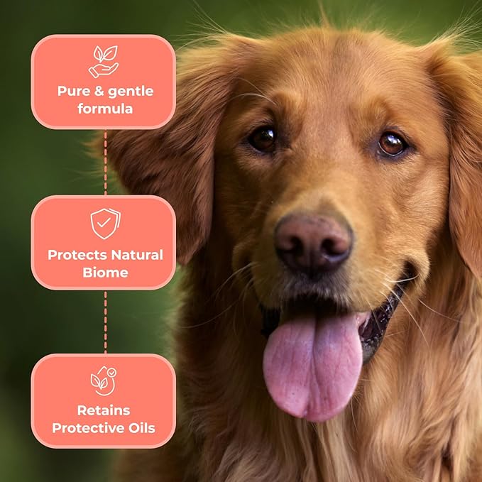 COAT DEFENSE Paw Licker Bundle | Dry Powder for Dogs & Sensitive Skin Dog Shampoo for Allergies and Itching | Smell & Itch Relief | Itchy Skin Relief & Yeast Dog Treatment-PawvioPets