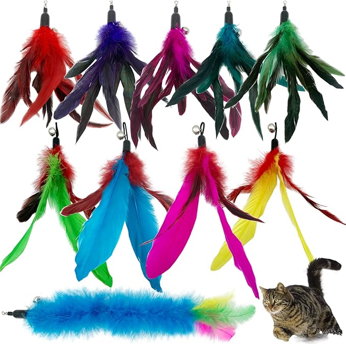 Cat Feather Toys Refills, 10 Pieces Interaction Cat Wand Replacement Feathers Toy for Indoor Cats-PawvioPets