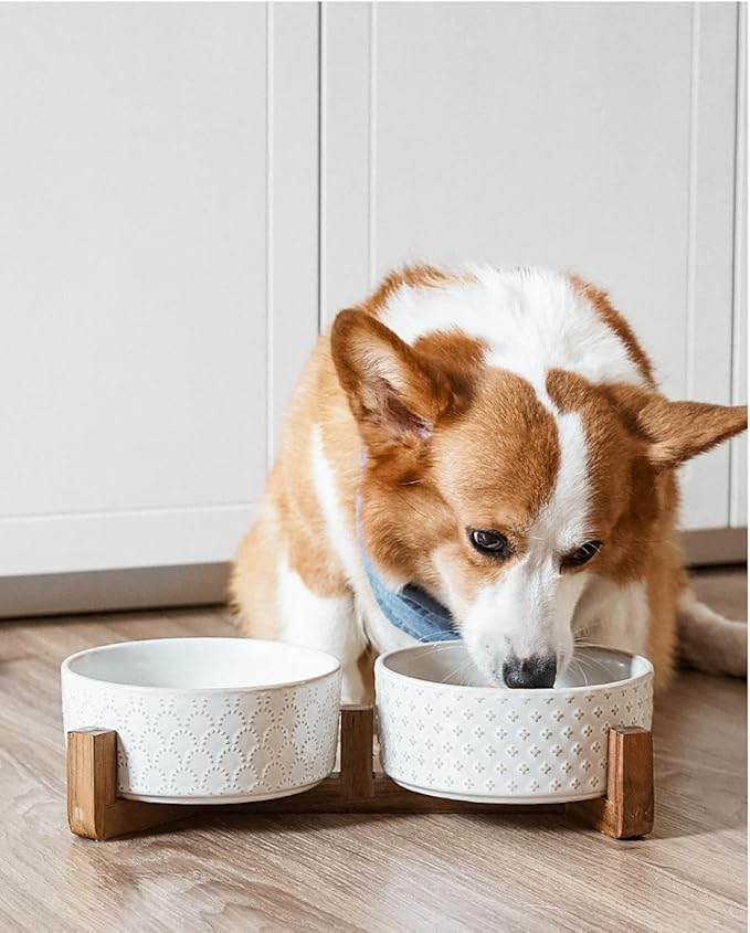 Dog Bowls Ceramic for Small Medium Dogs - 3-Cup Dual Food & Water Bowl Set with Acacia Wood Stand, Non-Slip Anti-Tip Elevated Design-PawvioPets