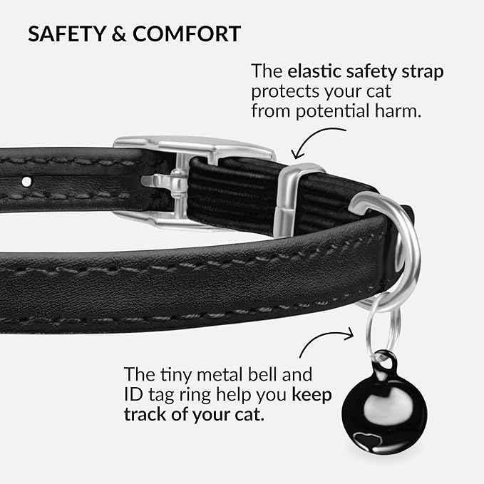 CollarDirect Leather Cat Collar with Bell - Kitten Collar, Small and Big Cat Strap for Boy Cats, Girl Cats with Safety Elastic Strap (Neck Fit 8"-11", Black)-PawvioPets