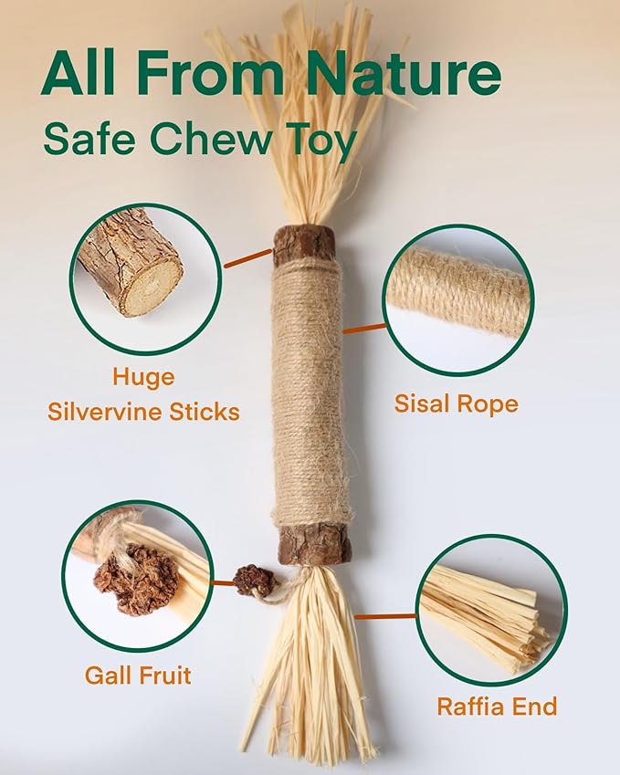 14.96 Inches Huge Silvervine Sticks Cat Toys, Large Natural Catnip Kittens Chew Toy for Teeth Cleaning,Big Catmint Blend Stick, Dental Kitty Chews for Indoor(2 Pack)-PawvioPets