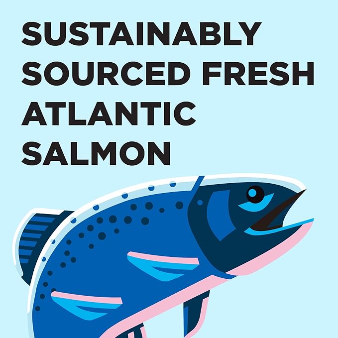 BIXBI Liberty Dry Food Salmon Recipe for Cats, 3lb-PawvioPets