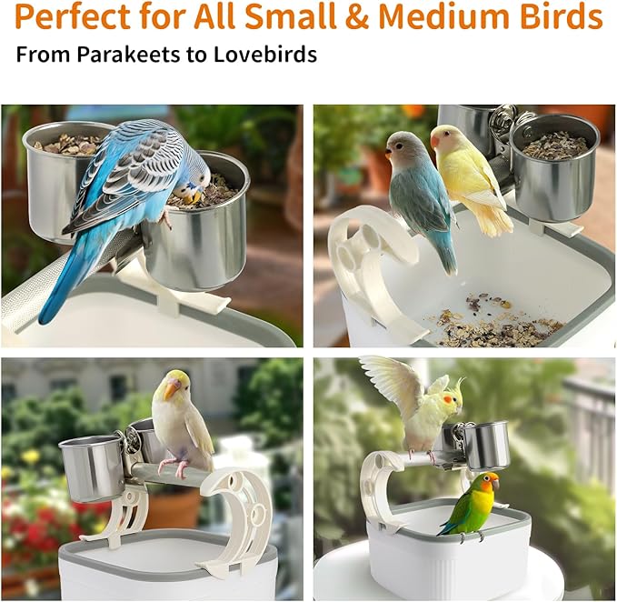 Bird Desktop Training Stand with Detachable Stainless Steel Double Bowls Feeder-Portable Bird Perches Stand with Detachable Base for Parakeets, Lovebirds&Medium-Sized Birds, Parakeet Cage Accessories-PawvioPets