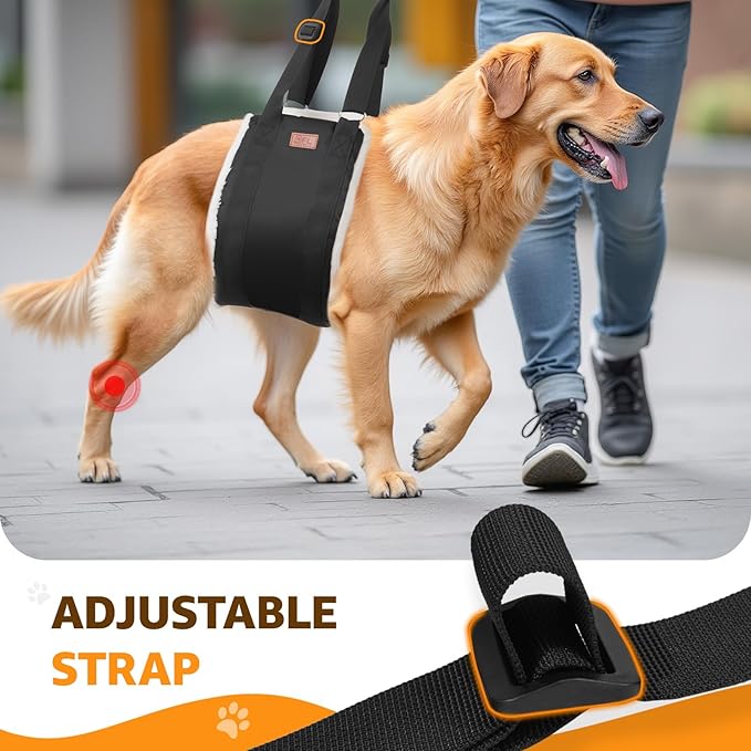 Adjustable Dog Lift Harness Dog Sling for Large Dogs Hind Leg Support Soft Lift Support and Rehab Harness for Weak Rear Legs, Helps Senior, Injured, Disabled and After ACL Surgery Dogs Large-PawvioPets