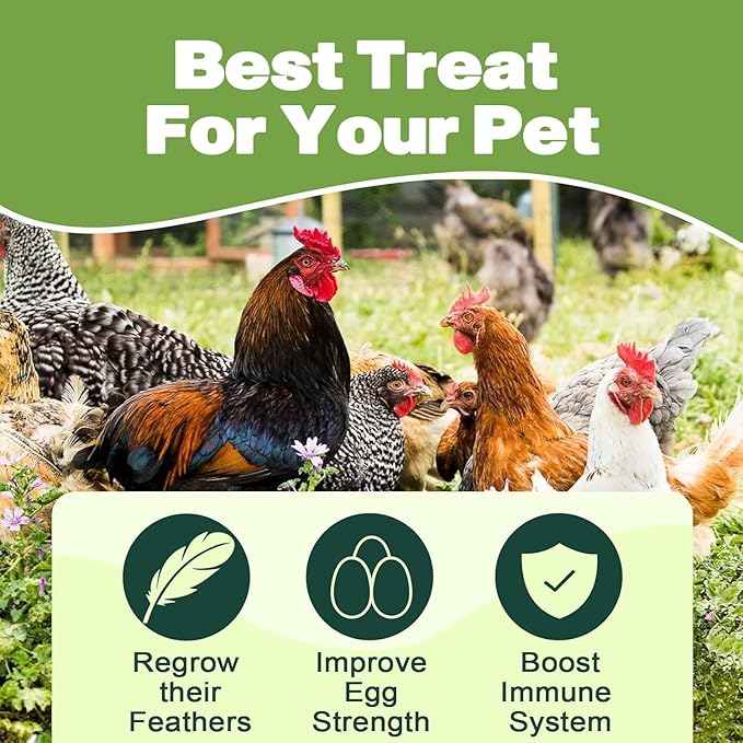 5LB Dried Black Soldier Fly Larvae, 86X Calcium Than Dried Mealworms, High Protein Non-GMO Organic Chicken Feed-PawvioPets