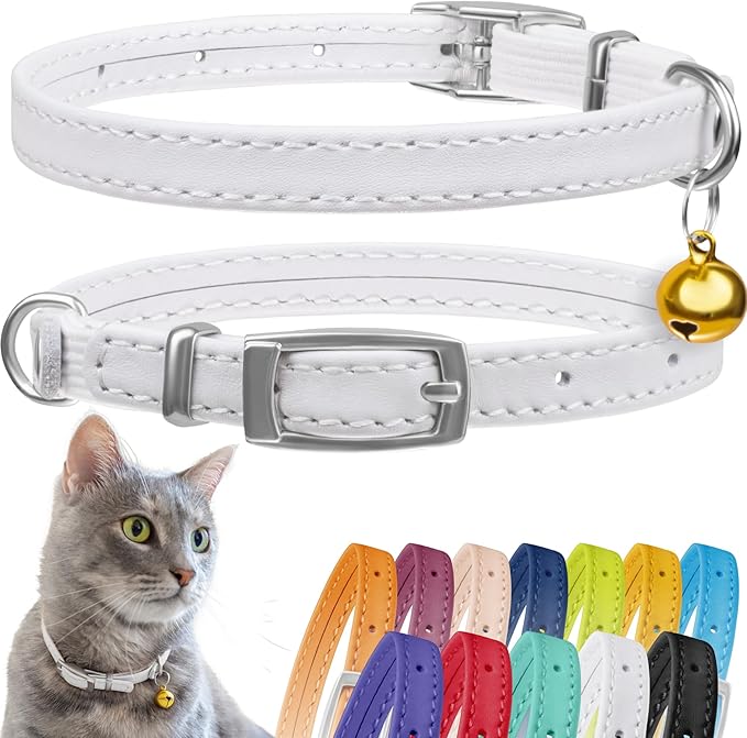 CollarDirect Leather Cat Collar with Bell - Kitten Collar, Small and Big Cat Strap for Boy Cats, Girl Cats with Safety Elastic Strap (Neck Fit 8"-11", White)-PawvioPets