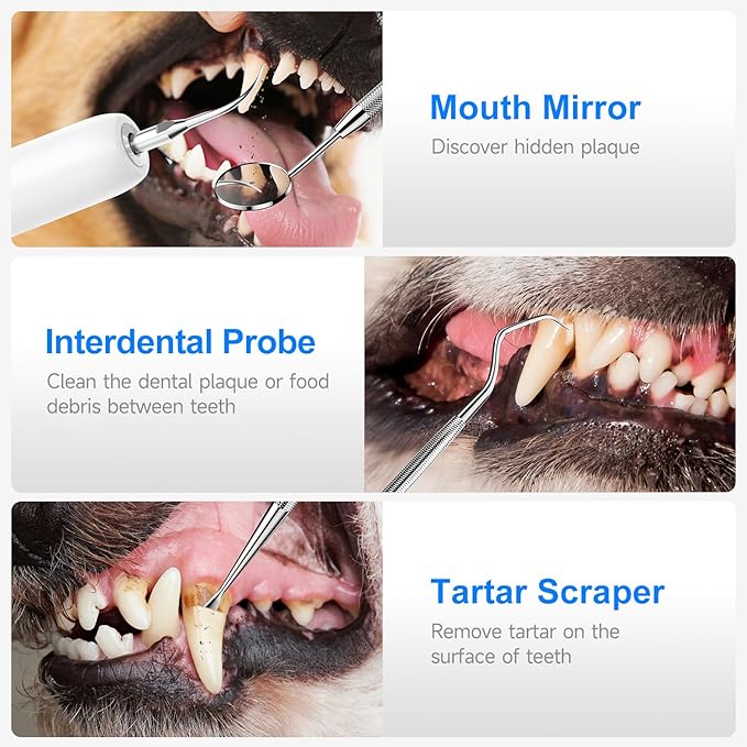 Electric Dog Plaque & Tartar Remover - Pet Teeth Cleaning Kit with LED Light, 5 Adjustable Modes, Safe and Low Noise – Easy Home Dental Care for Dogs and Cats-PawvioPets