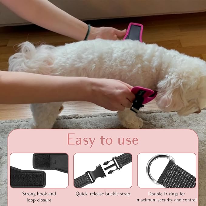 Comfort fit Step-in Dog & Puppy Harness - Comfortable All Weather Dog Vest Harness: Adjustable, Soft Padded, Easy to Put-on for Small, Medium-Sized Dogs.-PawvioPets