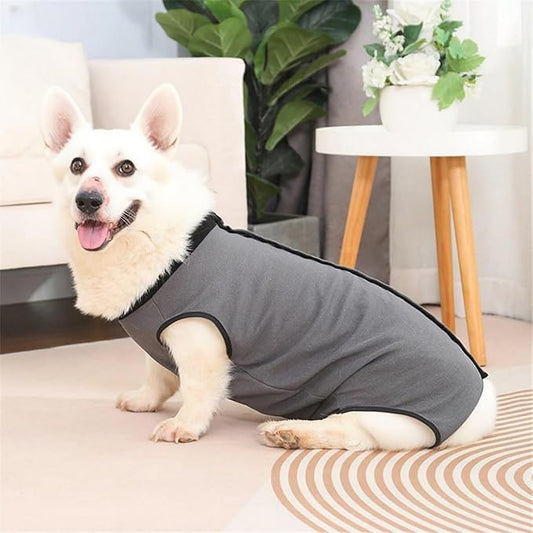 Dog Surgery Recovery Suit,Abdominal Surgical Suit for Dogs,Recovery Suit for Dogs,Prevent Licking Surgical Wound Dog Cone Alternative Grey M-PawvioPets