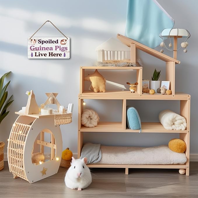Big Hamster Ball & Guinea Pig Hideout - Stuffed Animals & Accessories for Guinea Pig Cage - 12x6 In Wooden Sign-PawvioPets